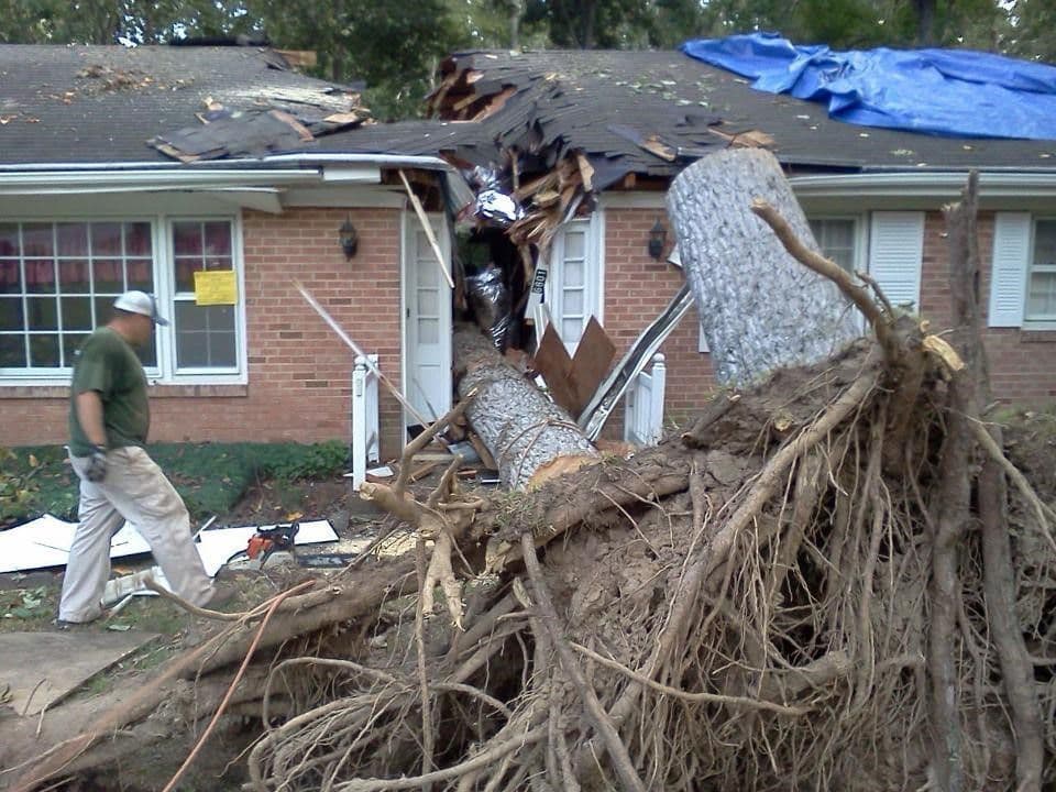Tree fallen on roof of a house, causing extensive damage with debris scattered nearby.