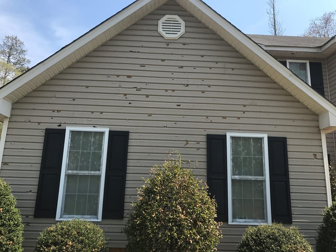Damaged siding on a beige house with black shutters and two front windows.